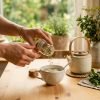 Hands_pouring_fennel_seeds_202609080121