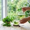 Hands_pouring_green_tea_202609080105 Hands_pouring_green_tea_202609080105