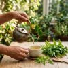 Hands_pouring_herbal_infusion_202609080044 Hands_pouring_herbal_infusion_202609080044